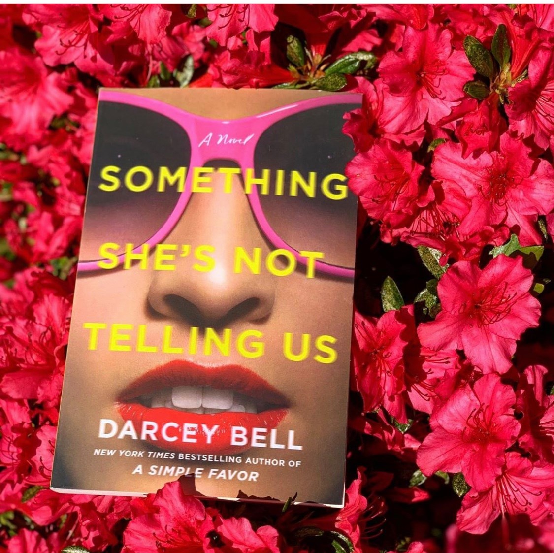 Review: Something She’s Not Telling Us by Darcey Bell