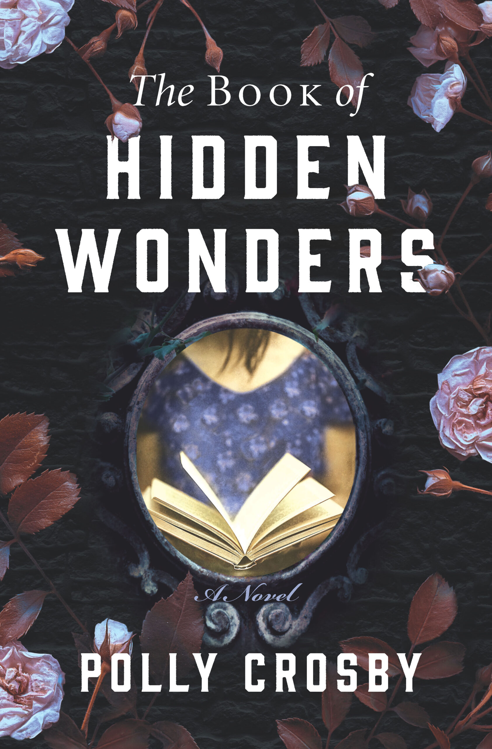 Review: The Book of Hidden Wonders by Polly Crosby
