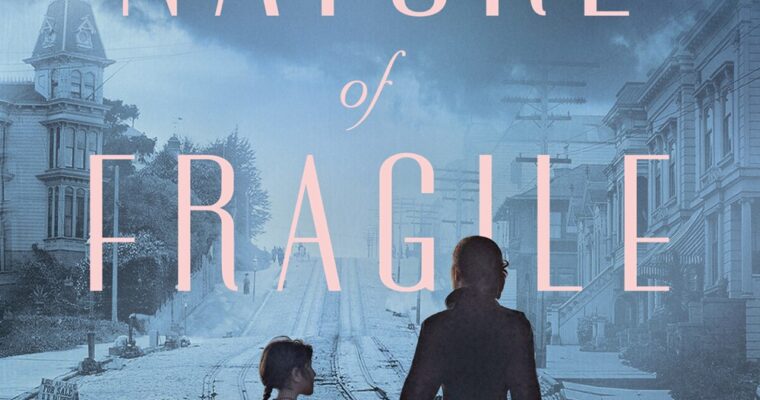 Review: The Nature of Fragile Things by Susan Meissner