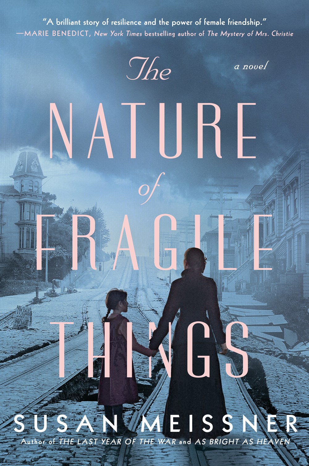 Review: The Nature of Fragile Things by Susan Meissner