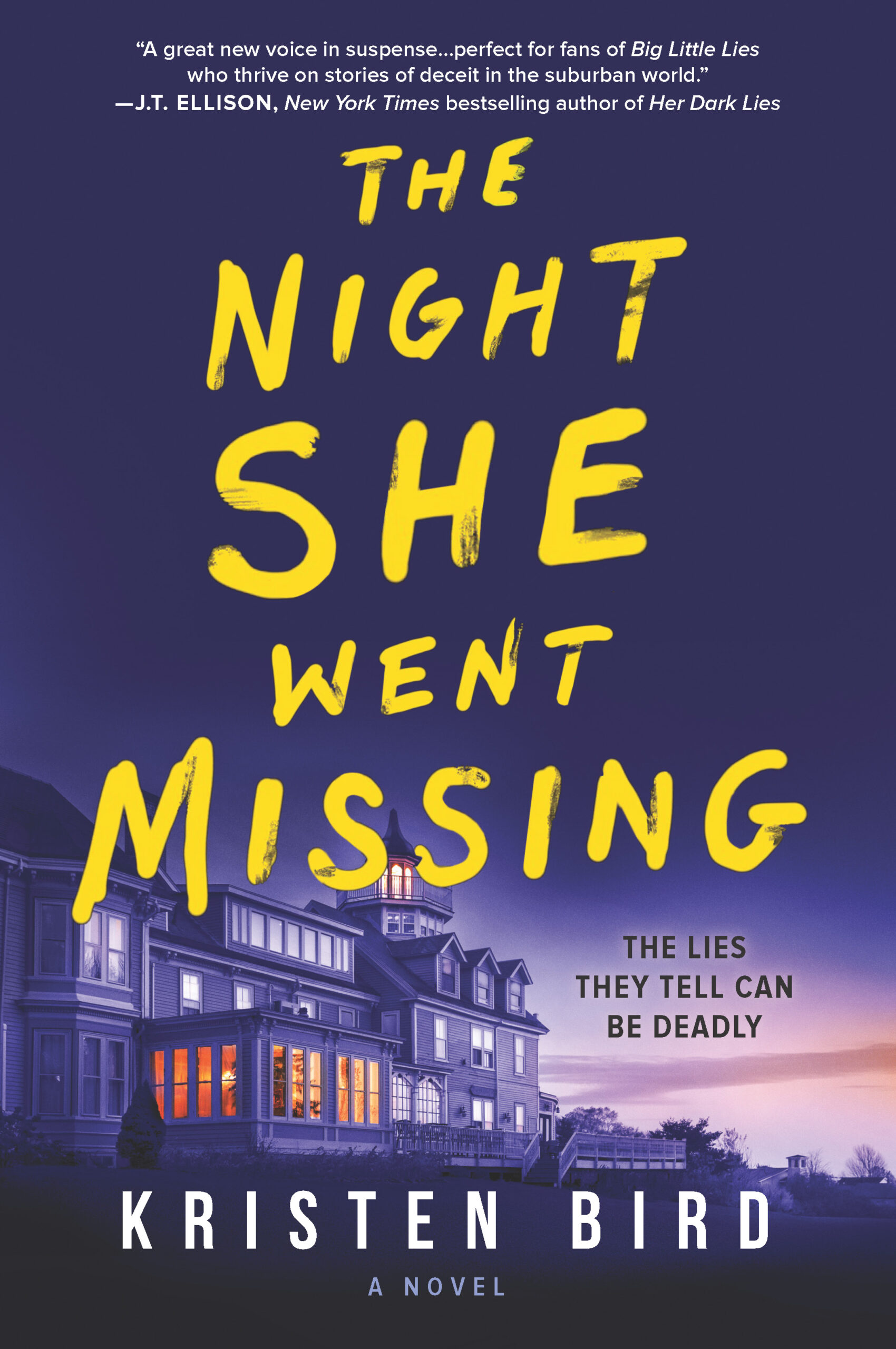 Review The Night She Went Missing by Kristen Bird