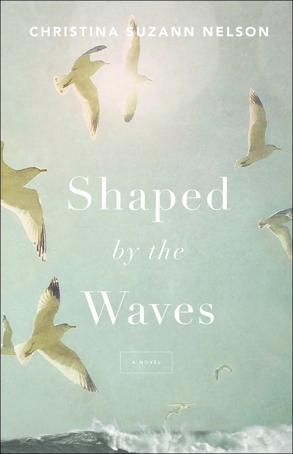 Review: Shaped by the Waves by Christina Suzann Nelson